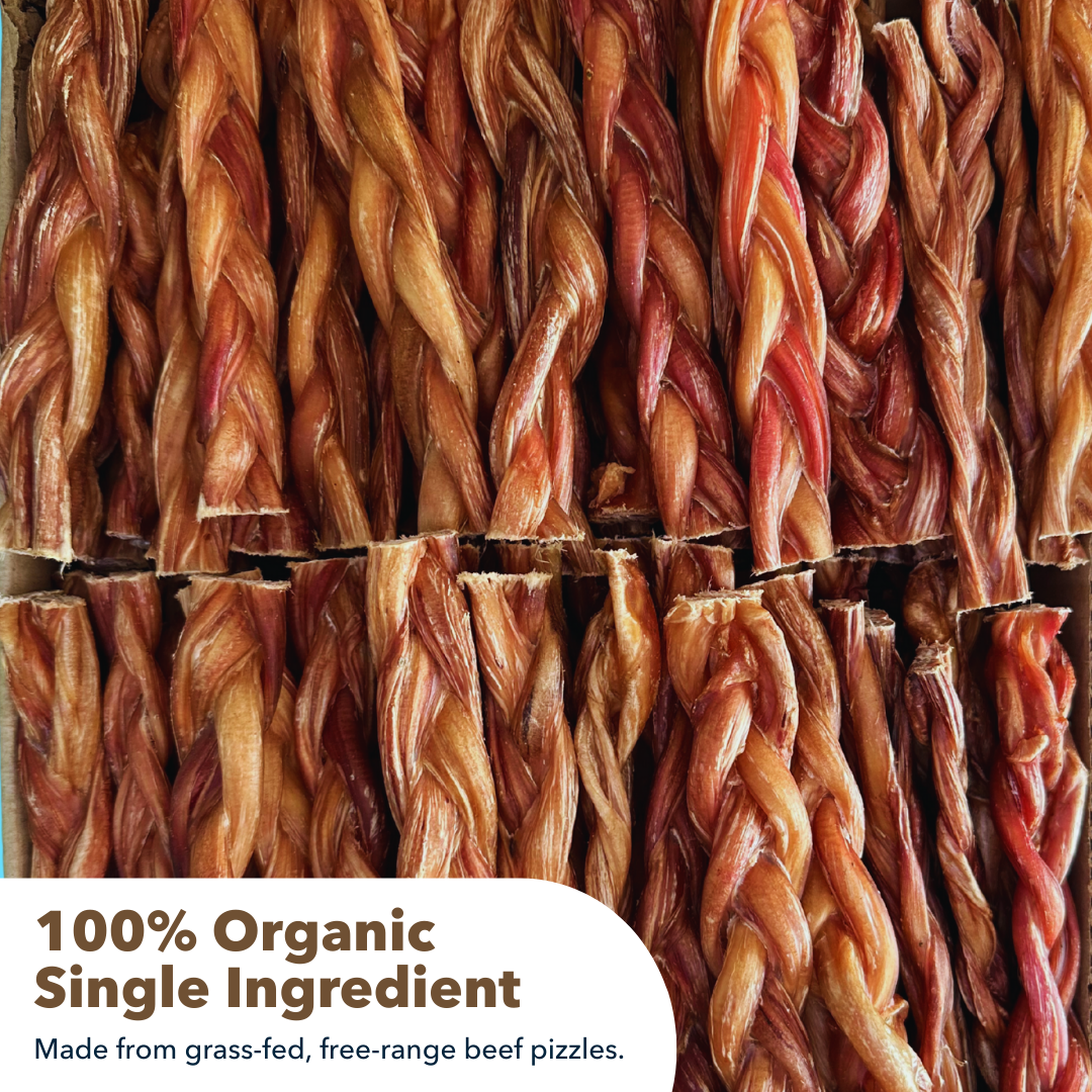 6" Thick Braided Bully Sticks